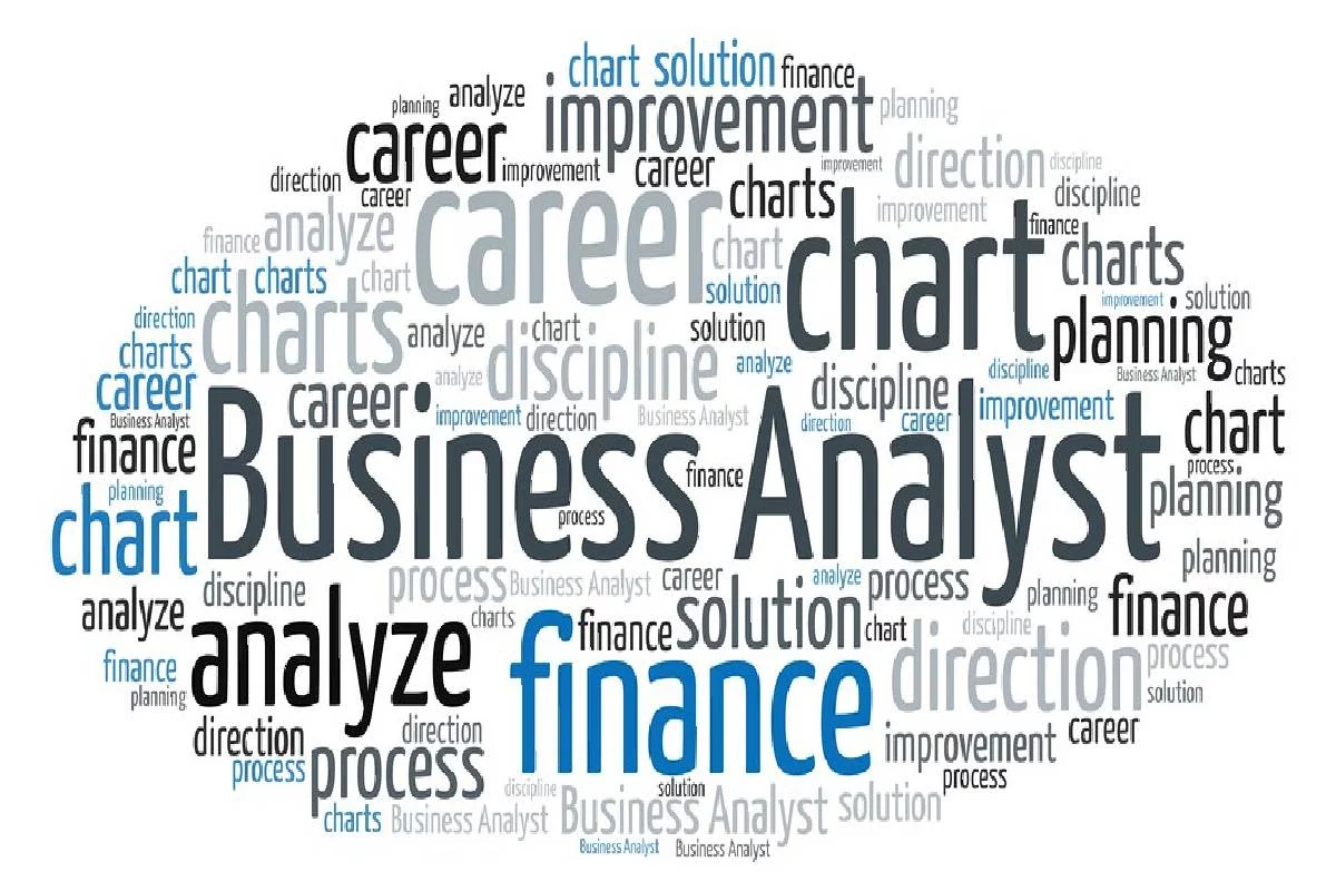 Business Analyst